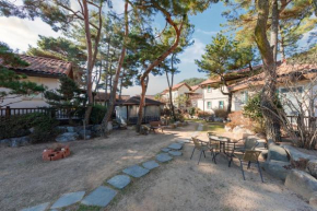 Clear morning pet friendly pension